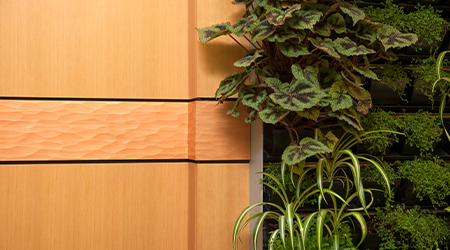 Wood wall paneling detail beside a living wall