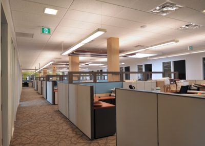 Mosiac, commercial millwork project