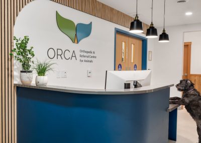 Orca Veterinary Clinic, commercial millwork project