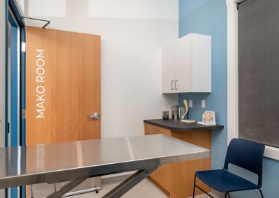 Orca Veterinary Clinic, commercial millwork project