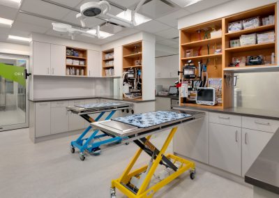 Orca Veterinary Clinic, commercial millwork project